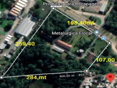 Imvel Comercial para Venda, em So Leopoldo, bairro SCHARLAU